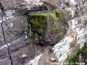 N e-h W wall corbel stone -s