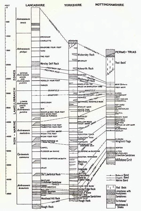 Coal seam correlations